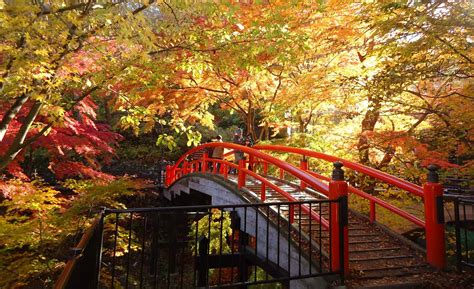 年末年始旅行 穴場 関東 子連れ ～家族で楽しむ冬の冒険～